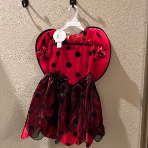 Ladybug Costume 🐞 Size 4T/5T 🐞 Koala Kids brand 🐞 New With Tags!! 🐞